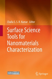 Abbildung von: Surface Science Tools for Nanomaterials Characterization - Springer