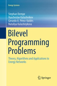 Enlarge image Cover: Bilevel Programming Problems - Springer