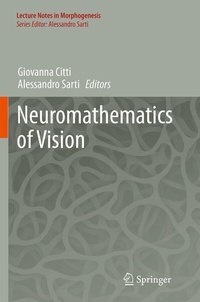 Abbildung von: Neuromathematics of Vision - Springer