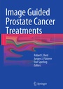 Cover: Image Guided Prostate Cancer Treatments - Springer
