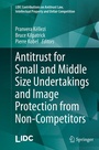 Cover: Antitrust for Small and Middle Size Undertakings and Image Protection from Non-Competitors - Springer