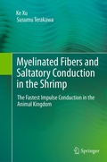Cover: Myelinated Fibers and Saltatory Conduction in the Shrimp - Springer