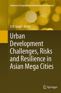 Bild: Urban Development Challenges, Risks and Resilience in Asian Mega Cities - Springer