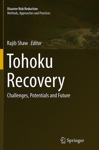 Enlarge image Cover: Tohoku Recovery - Springer