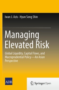 Enlarge image Cover: Managing Elevated Risk - Springer