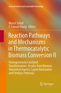 Abbildung von: Reaction Pathways and Mechanisms in Thermocatalytic Biomass Conversion II - Springer