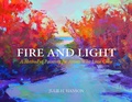 Cover: Fire and Light - Schiffer Publishing Ltd
