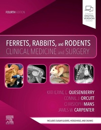 Enlarge image Cover: Ferrets, Rabbits, and Rodents - Saunders