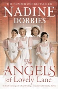 Cover: The Angels of Lovely Lane - Head of Zeus