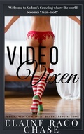 Cover: Video Vixen - Publishdrive