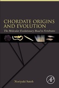 Cover: Chordate Origins and Evolution - Academic Press