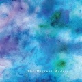 Cover: The Migrant Waders - Dunlin Press