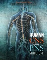 Abbildung von: Human CNS and PNS Structure - Kendall/Hunt Publishing Co ,U.S.