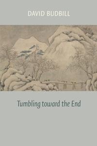 Enlarge image Cover: Tumbling Toward the End - Copper Canyon Press,U.S.