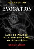Cover: Evocation - Inner Light/Global Communications