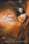 Cover: Torn - Clean Reads
