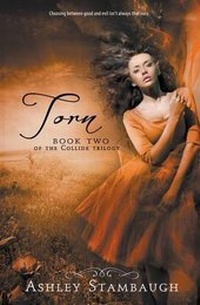 Enlarge image Cover: Torn - Clean Reads