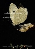 Cover: Hamilton Kerr Institute Bulletin: No. 6 - Archetype Publications Ltd
