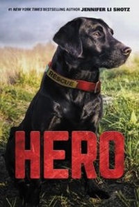 Enlarge image Cover: Hero - HarperCollins