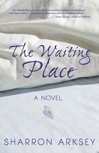 Abbildung von: The Waiting Place - Turnstone Press