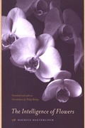 Cover: The Intelligence of Flowers - State University of New York Press