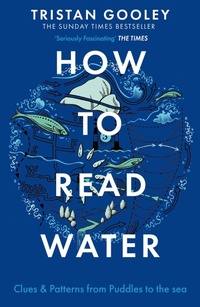Abbildung von: How To Read Water - Sceptre