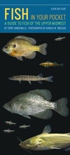 Cover: Fish in Your Pocket - University of Iowa Press