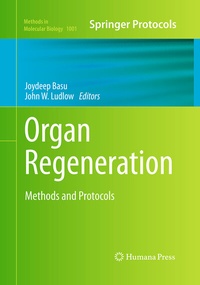 Abbildung von: Organ Regeneration - Humana Press Inc.
