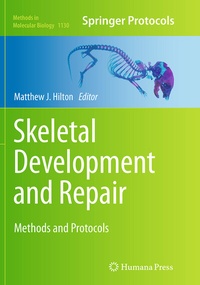 Abbildung von: Skeletal Development and Repair - Humana Press Inc.