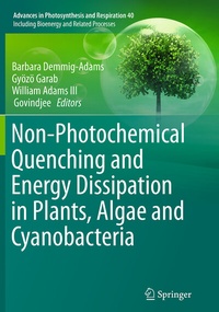 Abbildung von: Non-Photochemical Quenching and Energy Dissipation in Plants, Algae and Cyanobacteria - Springer