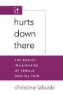 Cover: It Hurts Down There - State University of New York Press