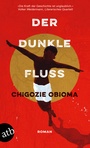 Cover: Der dunkle Fluss - Aufbau Taschenbuch