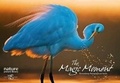 Cover: Magic Moment: Extraordinary Photographs of Nature - White Star