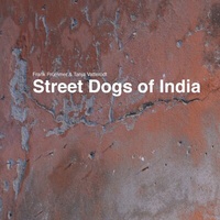 Abbildung von: Street Dogs of India - BoD - Books on Demand