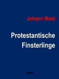 Cover: Protestantische Finsterlinge - Books on Demand