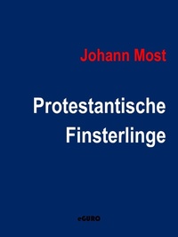 Enlarge image Cover: Protestantische Finsterlinge - Books on Demand