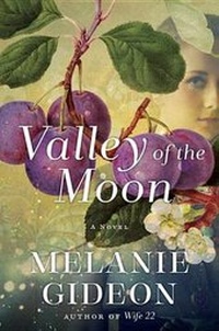 Enlarge image Cover: Valley of the Moon - Ballantine Books