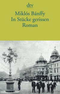Abbildung von: In Stücke gerissen - dtv