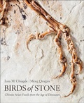 Cover: Birds of Stone - Johns Hopkins University Press