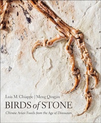 Abbildung von: Birds of Stone - Johns Hopkins University Press