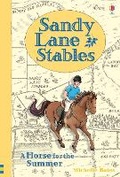 Cover: Sandy Lane Stables A Horse for the Summer - Usborne Publishing Ltd