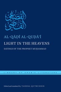 Abbildung von: Light in the Heavens - New York University Press
