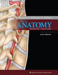 Abbildung von: Lippincott Williams & Wilkins Atlas of Anatomy - Lippincott Williams and Wilkins