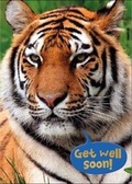 Cover: Tiger - Get Well Colouring Card-Book - Cardooo Ltd