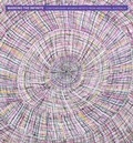 Cover: Marking the Infinite - Prestel