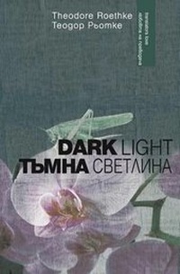 Enlarge image Cover: Dark Light - Accents Publishing
