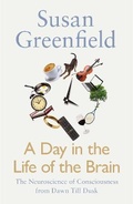 Cover: A Day in the Life of the Brain - Allen Lane