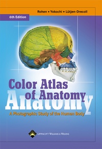 Enlarge image Cover: Color Atlas of Anatomy - Lippincott Williams and Wilkins