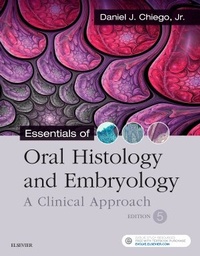Abbildung von: Essentials of Oral Histology and Embryology - Elsevier