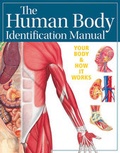 Cover: Human Body Identification Manual (Academic Edition) - QUAD Publishing